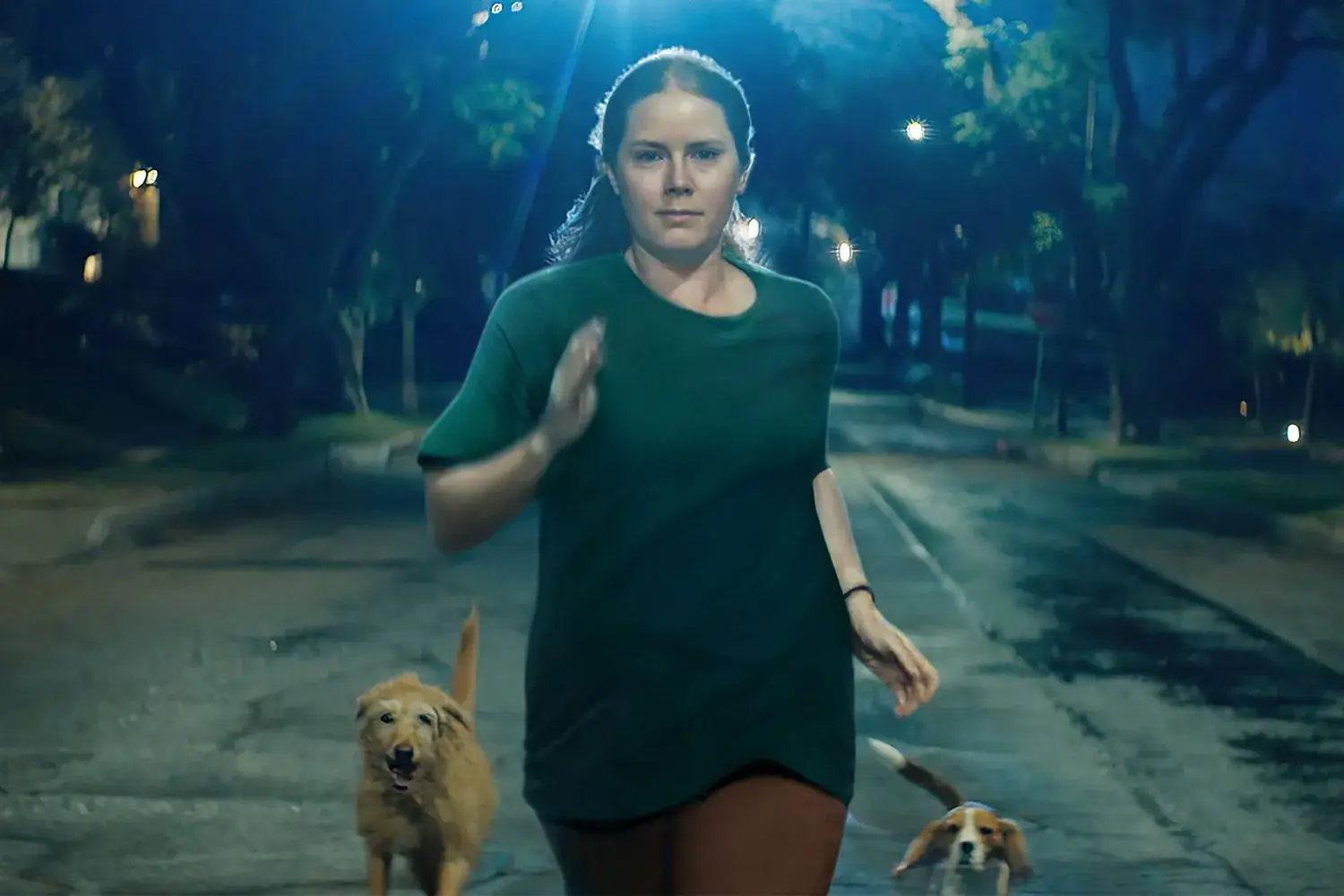 Amy Adams channels her rage — and transforms into a dog — in Nightbitch trailer Main image